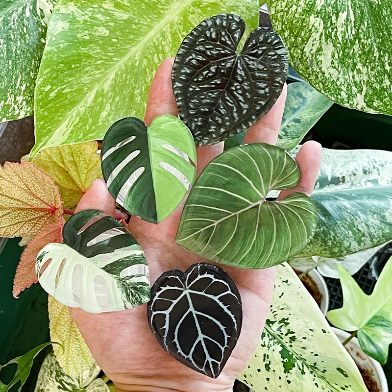 Glossy Simulation Leaf Phone H - Tech Accessories Phone ulasan dan harga