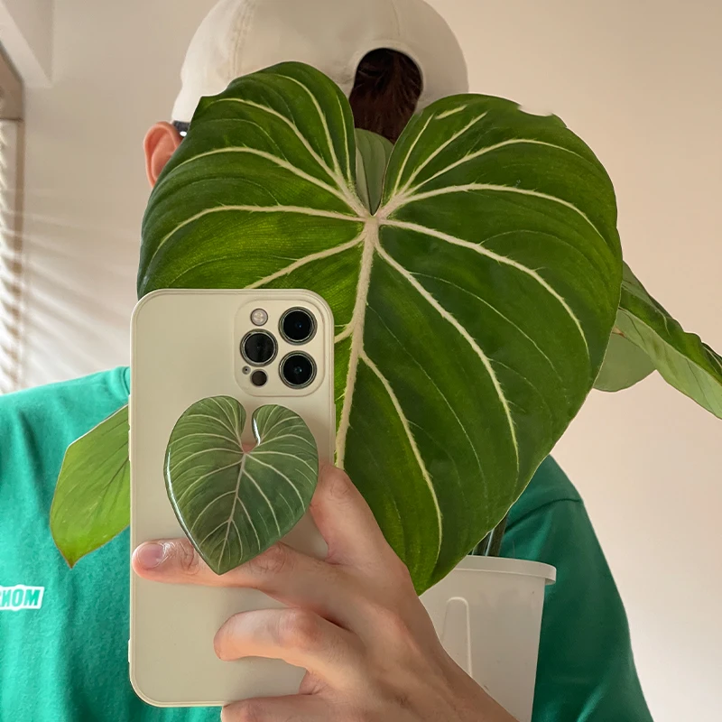 Glossy Simulation Leaf Phone H - Tech Accessories Phone ulasan dan harga